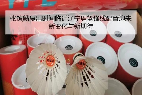 张镇麟复出时间临近辽宁男篮锋线配置迎来新变化与新期待